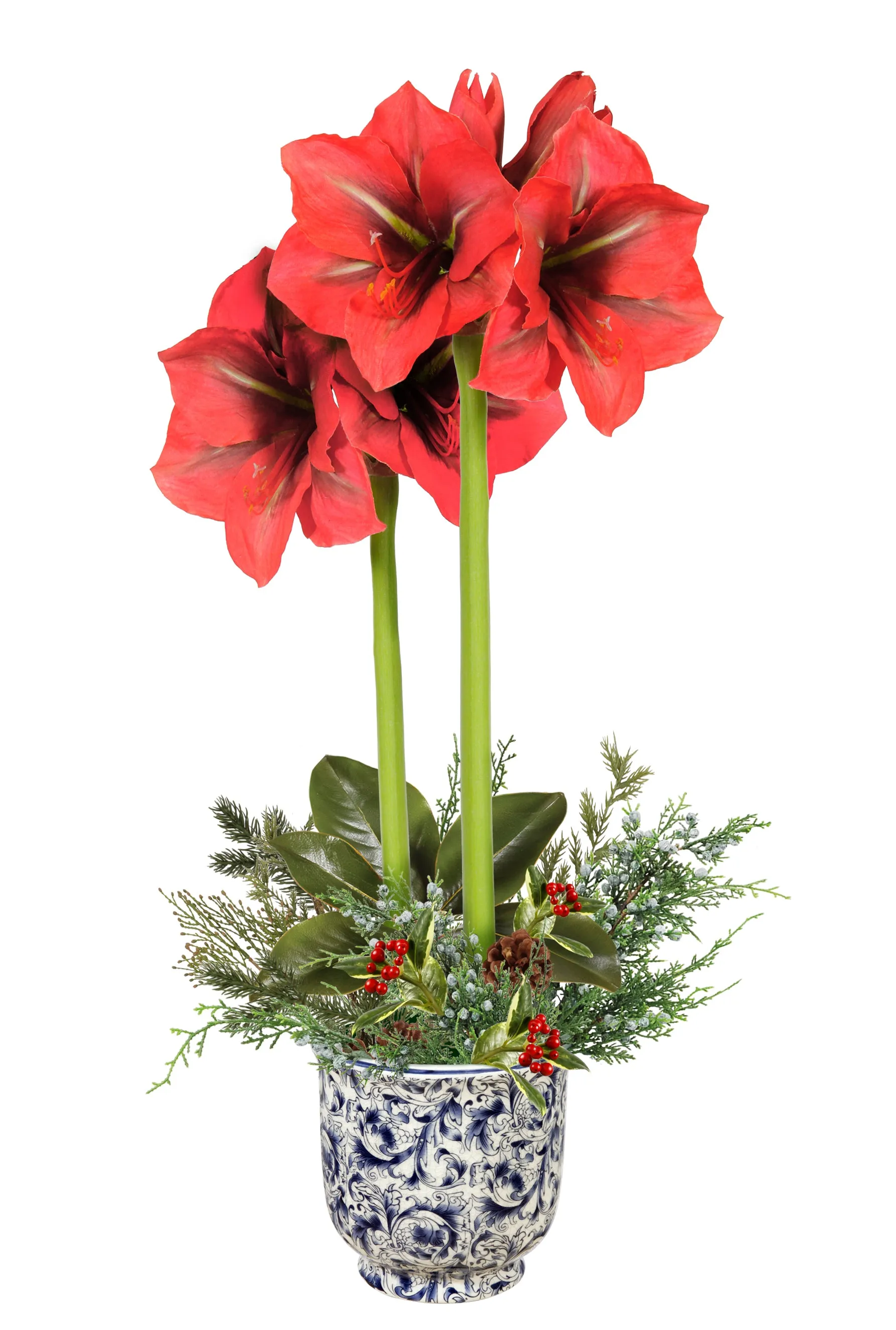 Amaryllis Arrangement