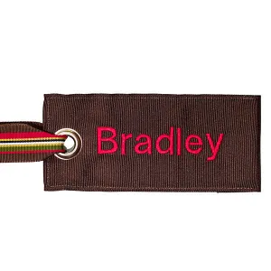 Brown Luggage Tag