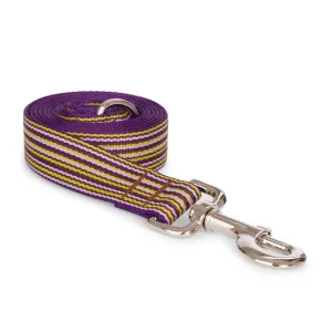 Fabdog | Mini Stripe Lead Purple