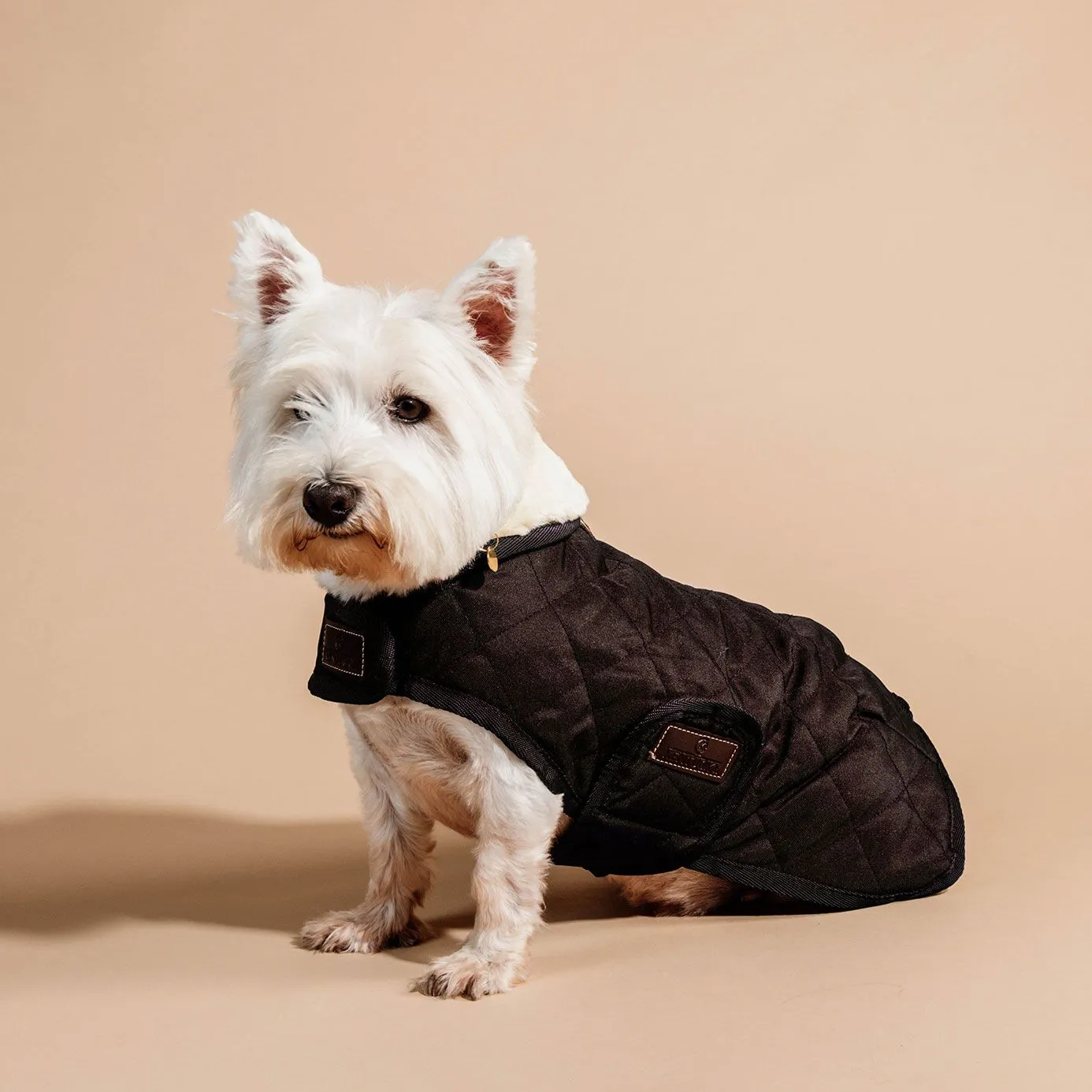 Kentucky Dogwear Dog Coat - Brown