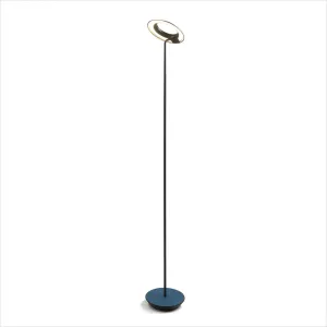 Royyo Floor Lamp